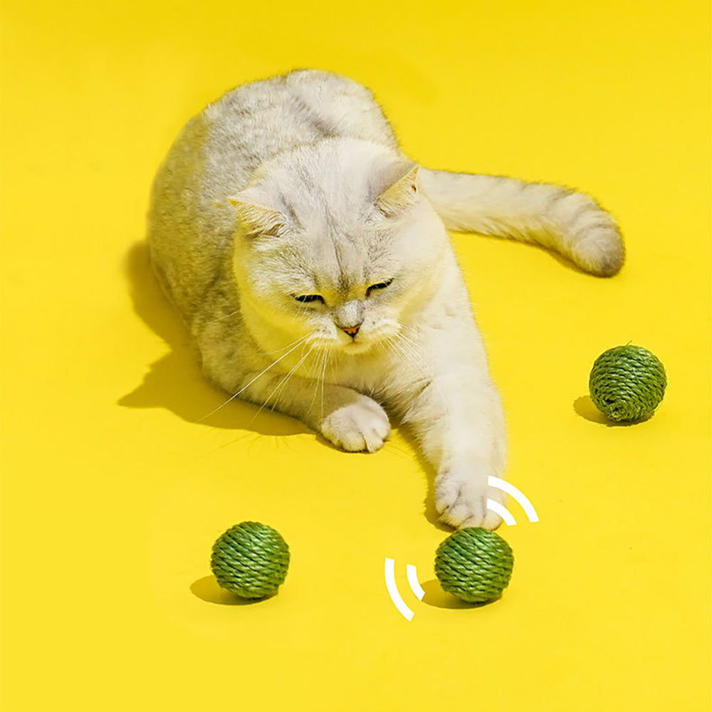 Interactive Ball Toy With Rustling Sound